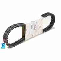 PIAGGIO / Cinghia...