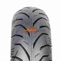 REBEL WARRIOR 3.25  -16 58 P TL