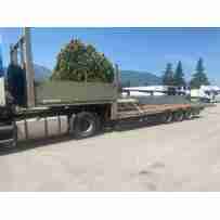 Carrellone N. 03 Assi /...