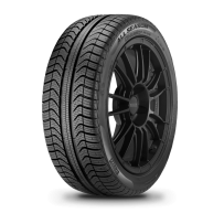 1657014 81T Pirelli...